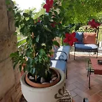Villa Slivari Žminj